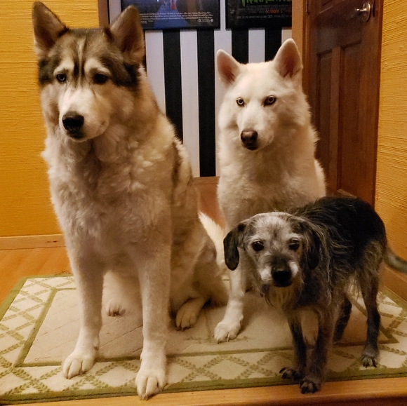 Meet your Posher, Amy - Picture 5 of 8